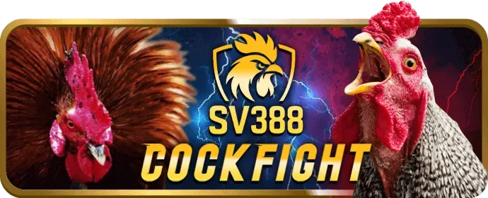 Chiến lược cá cược thể thao gold88